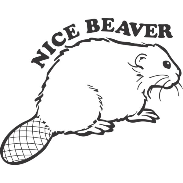 Nice Beaver Thumbnail